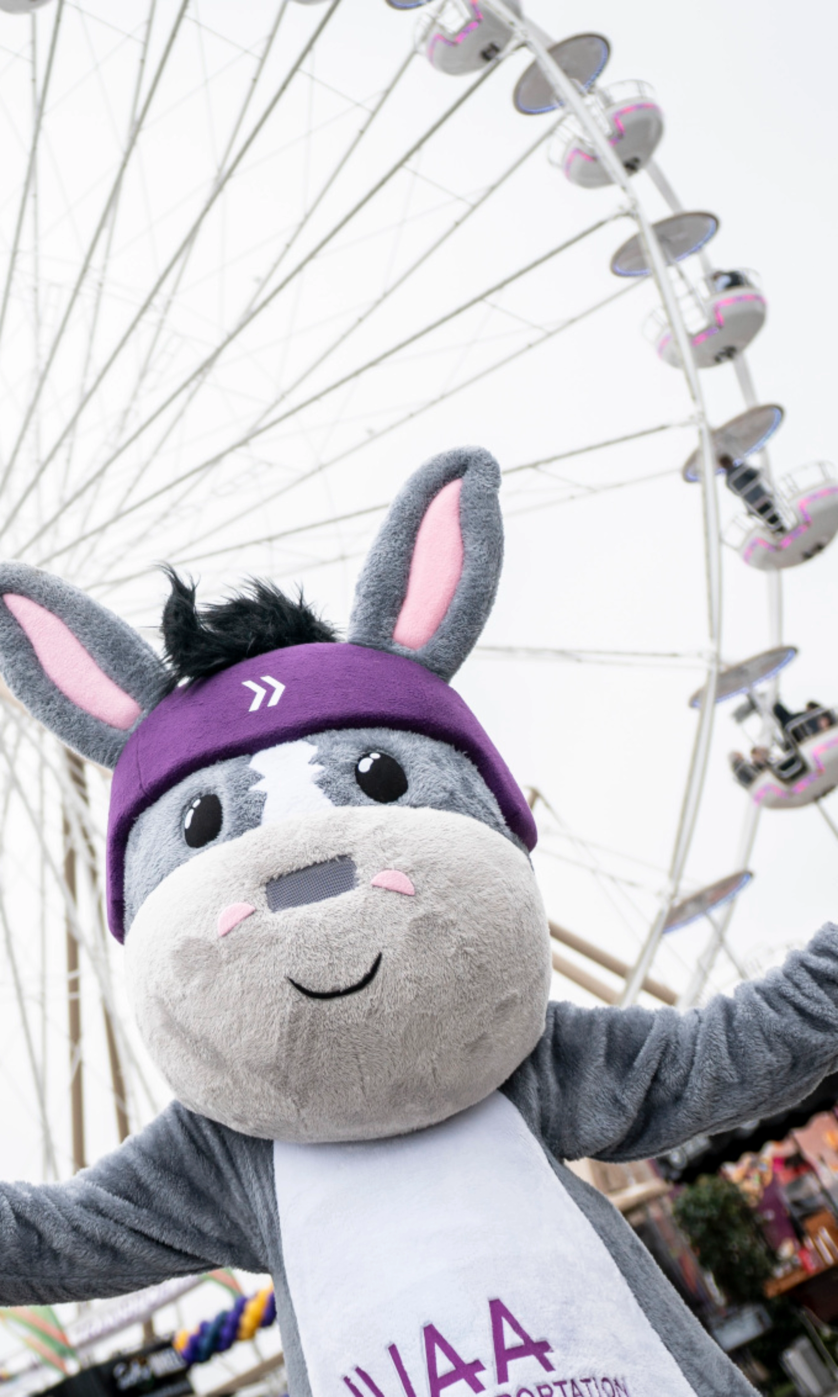 A donkey mascot poses in front of a large Ferris wheel at an outdoor event.