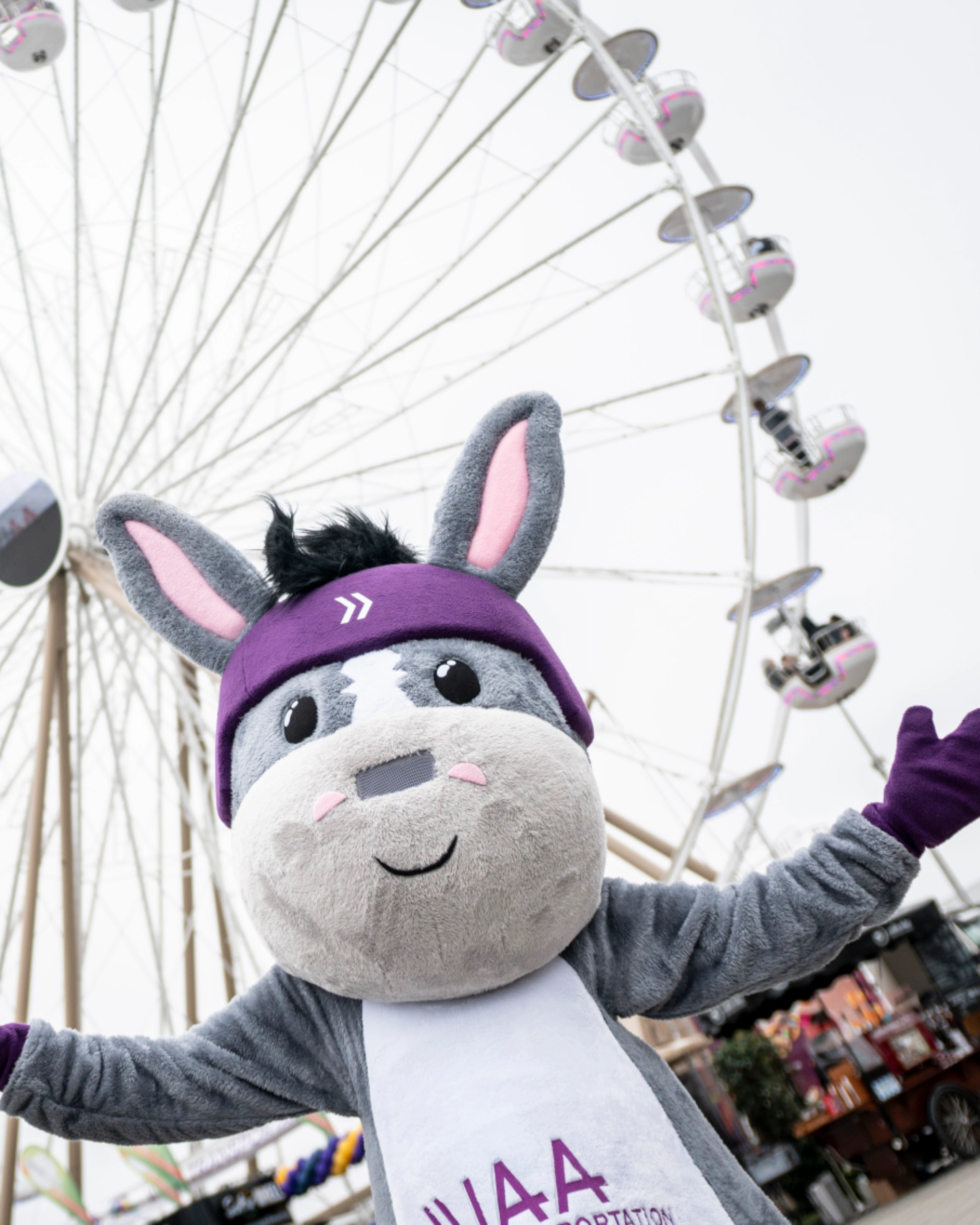 A donkey mascot poses in front of a large Ferris wheel at an outdoor event.