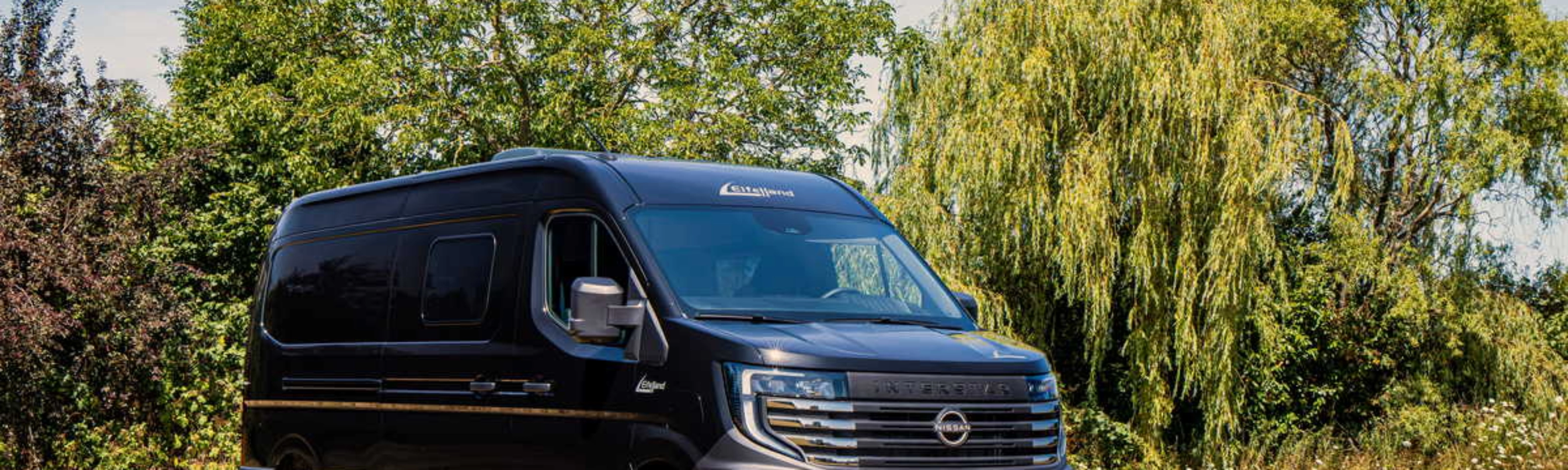 Elektrischer Nissan-Transporter steht auf einer Wiese vor Bäumen.