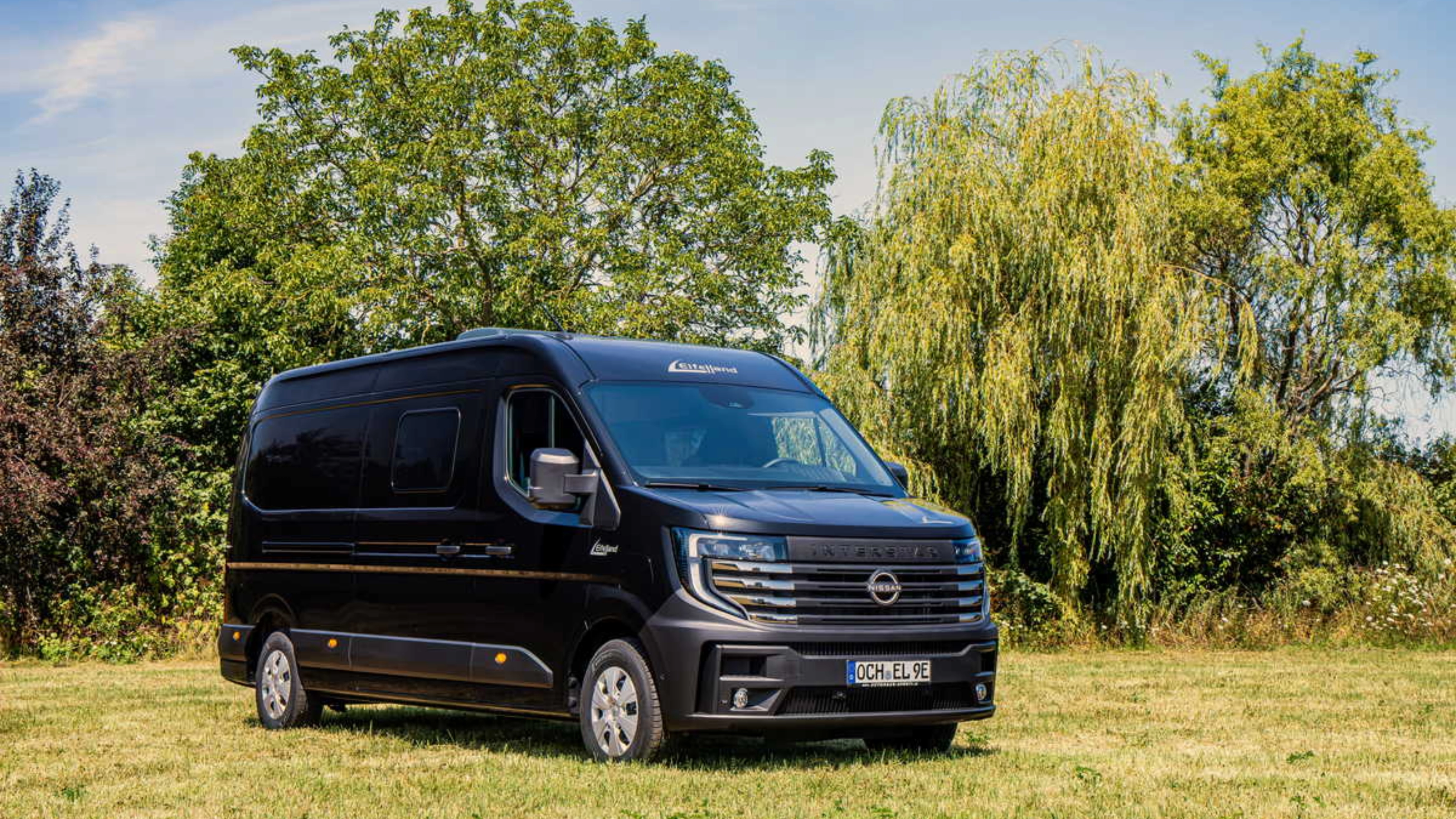 Elektrischer Nissan-Transporter steht auf einer Wiese vor Bäumen.