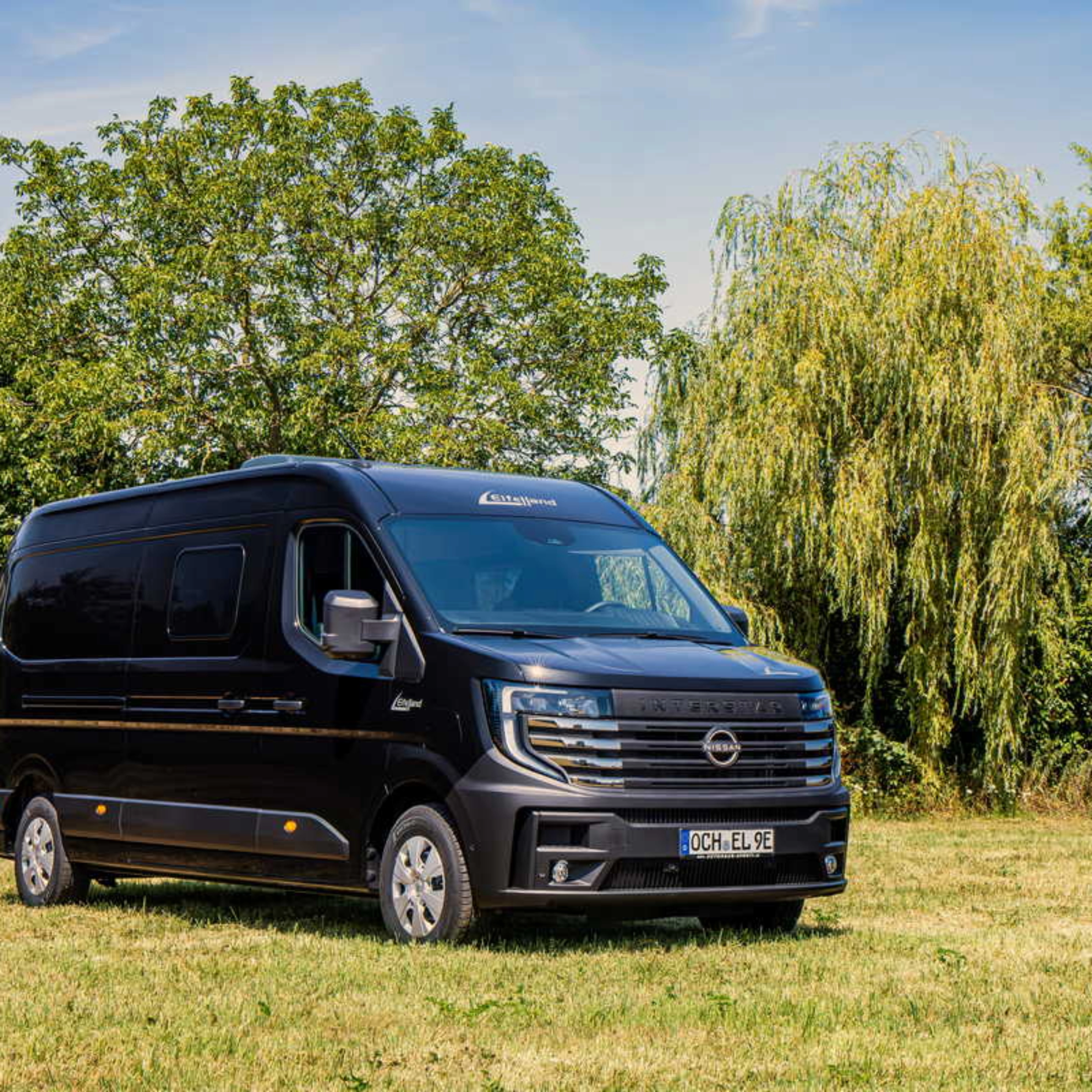 Elektrischer Nissan-Transporter steht auf einer Wiese vor Bäumen.
