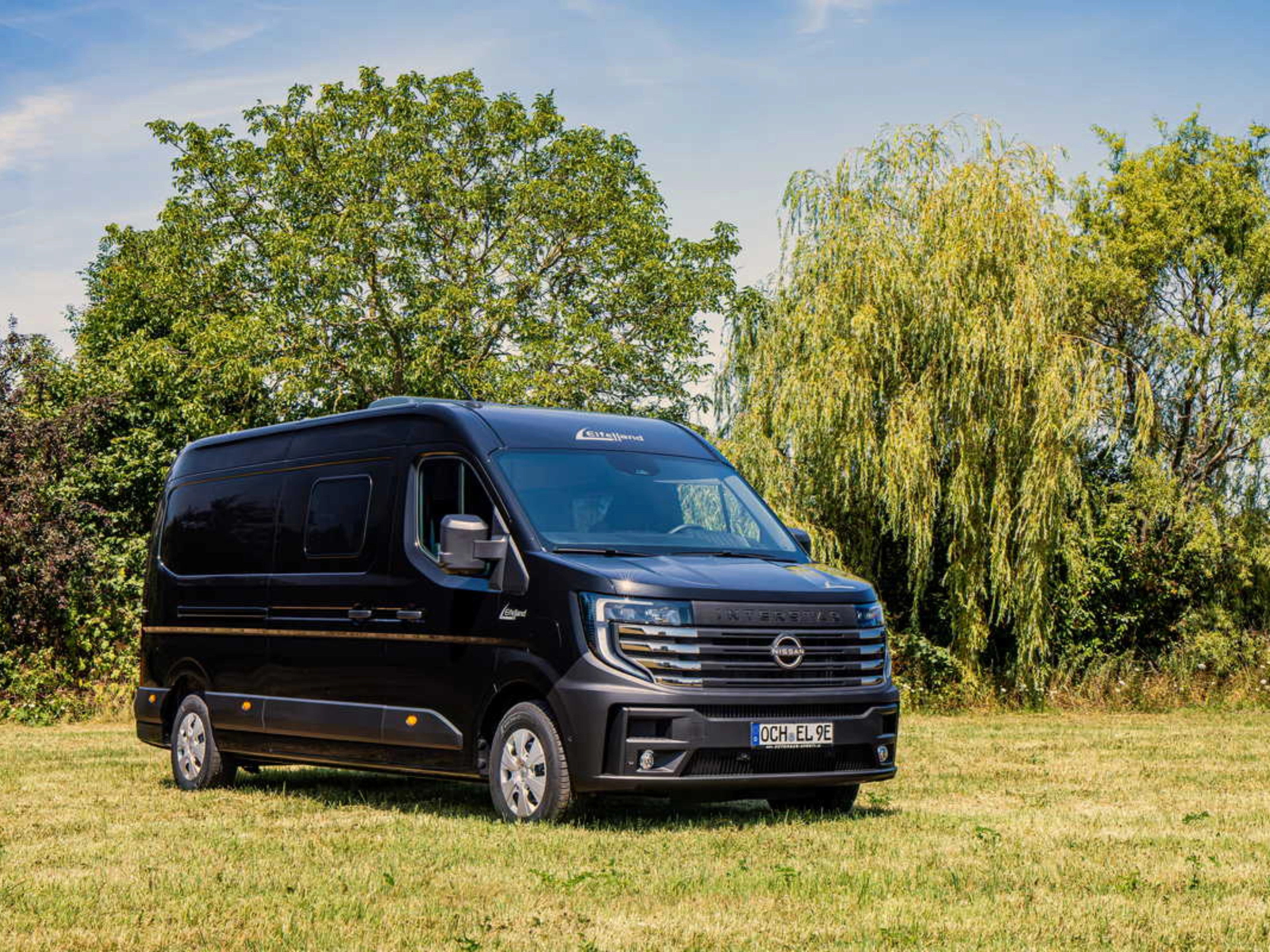 Elektrischer Nissan-Transporter steht auf einer Wiese vor Bäumen.