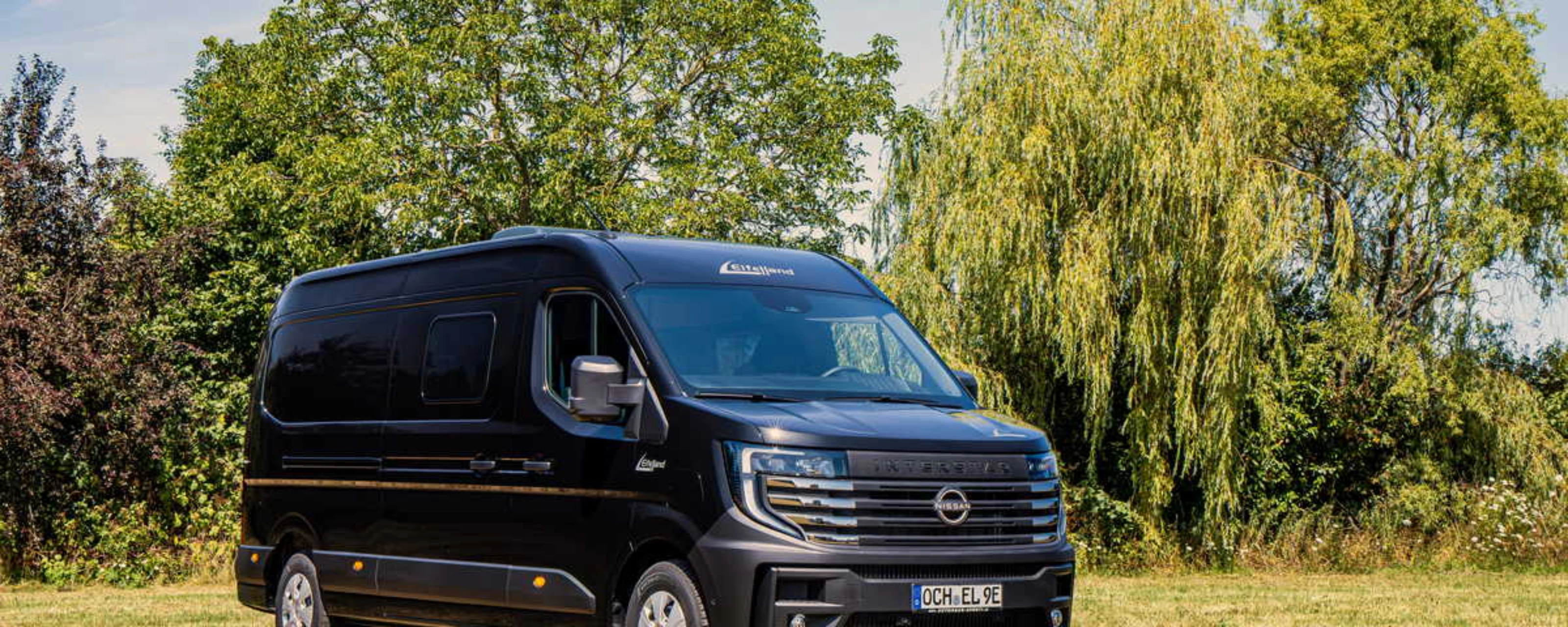 Elektrischer Nissan-Transporter steht auf einer Wiese vor Bäumen.