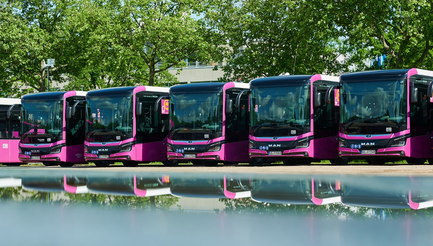 Sechs pinke MAN-Stadtbusse der Deutschen Bahn stehen nebeneinander vor grünen Bäumen.