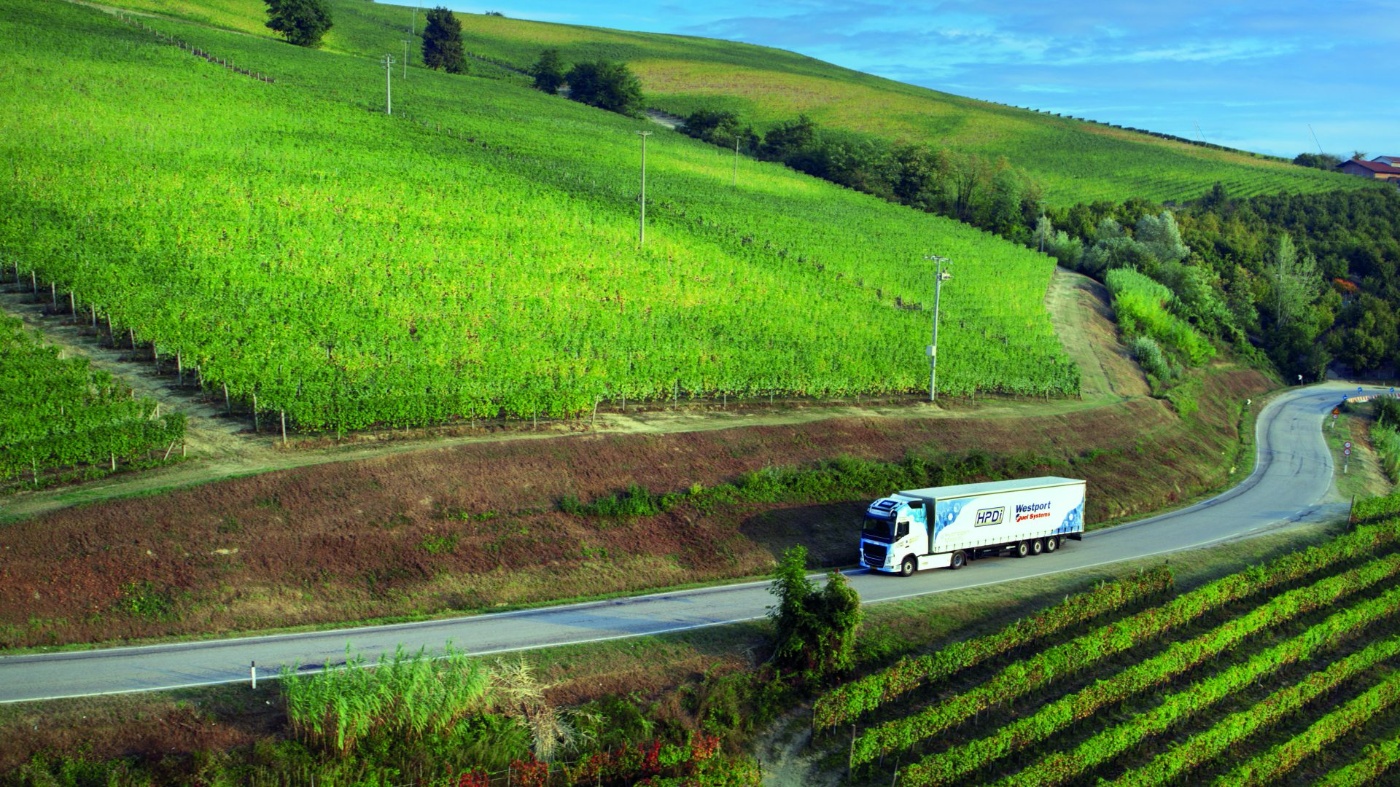 Lkw fährt auf einer kurvigen Straße durch grüne Weinberge.