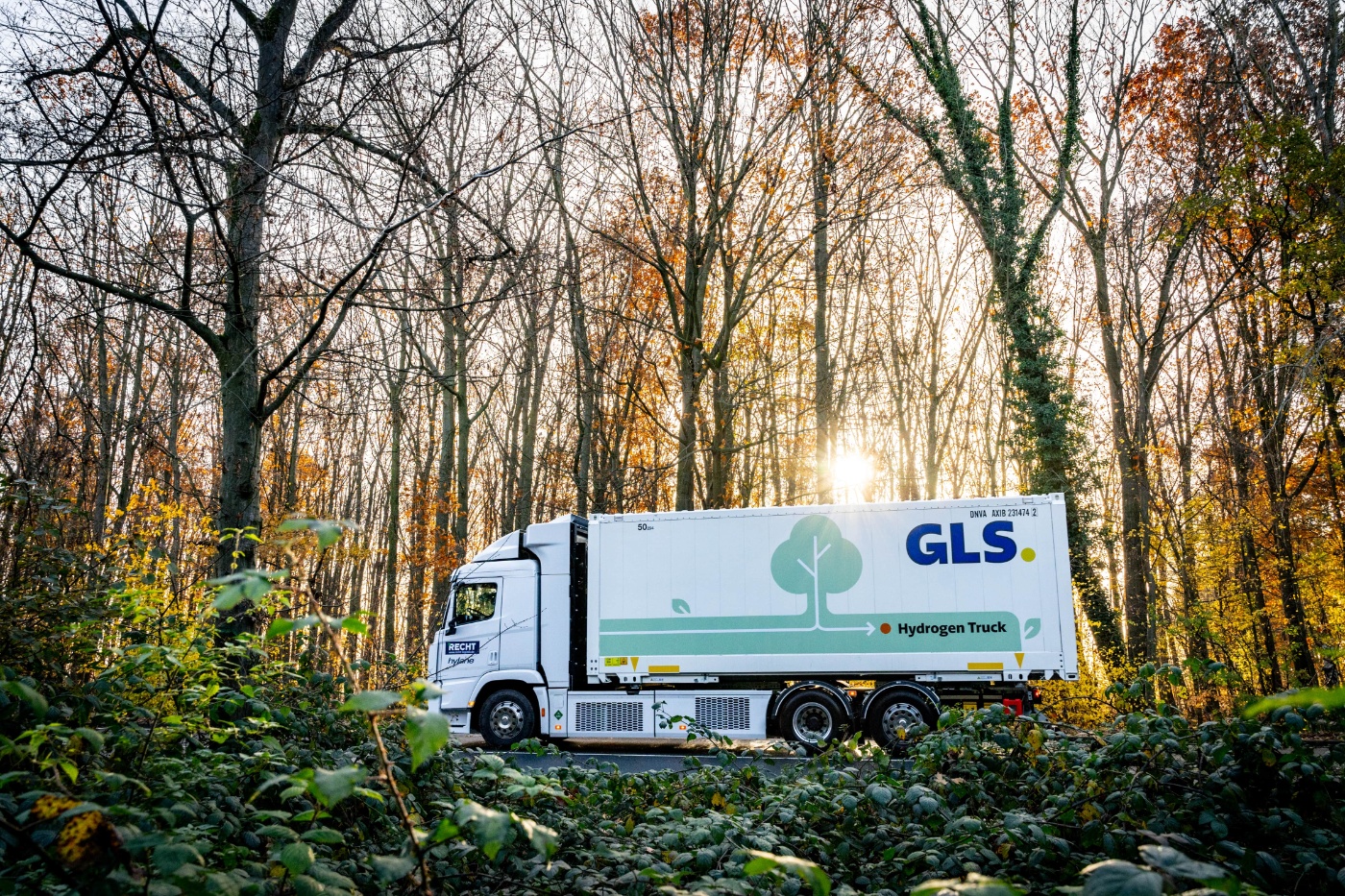 GLS Germany